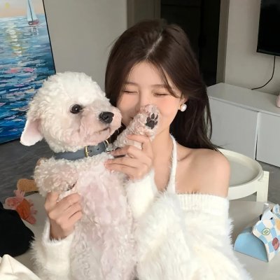 战火中的小狐狸